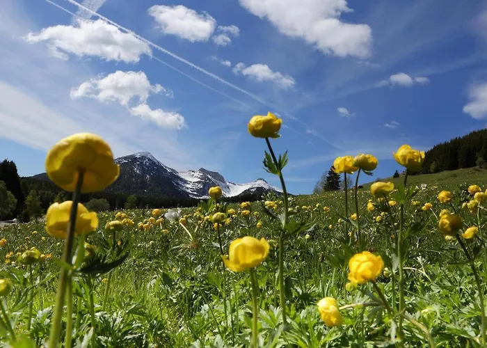 Apartment Casa Meno *